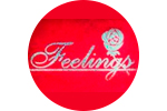 Feelings Lingerie